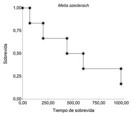 Curvas de sobrevida de Kaplan-Meier para Melia azederach. ‒○‒: clases diam�tricas inferiores (<22 cm DAP); ‒●‒: clases diam�tricas superiores (>22 cm DAP).