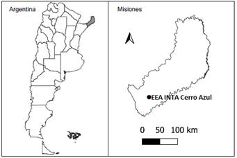 Ubicacin del ensayo de taxones de pinos subtropicales y tropicales