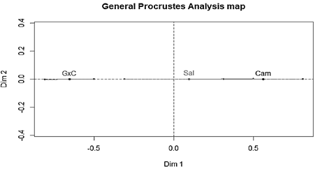 Biplot de matriz consenso y configuraciones transformadas