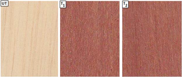 Visual appearance of untreated and treated wood using PME UT = Untreated samples; T1 = treated samples by PME22; T2 = treated samples by PME33.