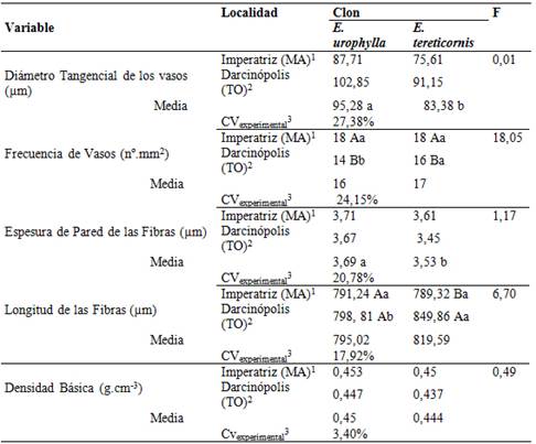 Características anatómicas y densidad básica de la madera de clones de eucalipto a los tres años de edad atacados por Leptocybe invasa en dos localidades.