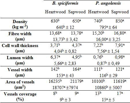 Anatomical features of sapwood and heartwood of B. spiciformis and P. angolensis.