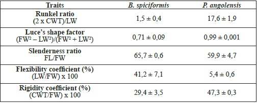 Derived wood properties of B. spiciformis and P. angolensis.