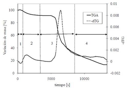 Curavas TGA y DTG de aserrín de corteza de Pinus pinaster (Melgar et al. 2008)