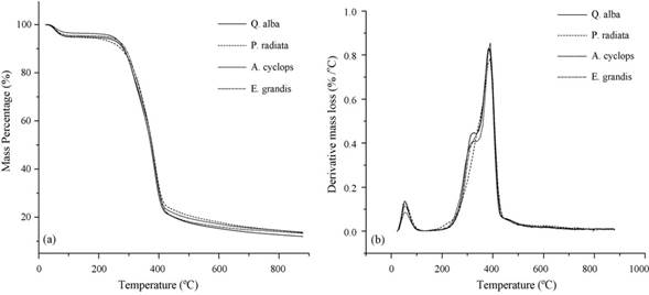 Curvas TGA y DTG de aserrín de Pinus radiata (Shebani et al. 2008).