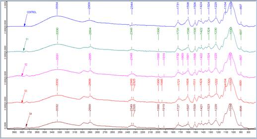 FTIR spectra of untreated and thermal modified wood boards.