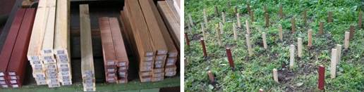 Field test for wood durability: preparation of the samples (left); samples placed in the ground according to EN 252:1989/AC1:1989 specifications.