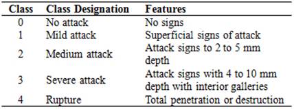 Rating system for the visual classification inspection (EN 252).