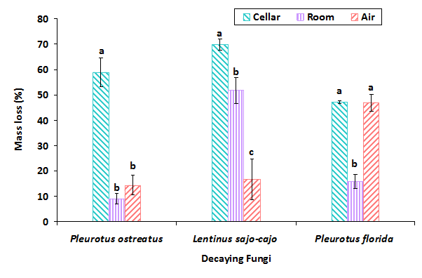 Mass losses of rice straw exposed to white rot fungi under different environmental conditions after 90 days incubation.