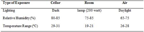 Environmental conditions for the three exposure conditions used during incubation of the samples.