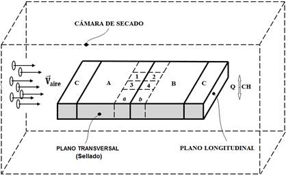 Panel de madera de 48x30x4 (cm): Tabla de corte radial y tangencial (A y B); Tabla complementaria (C); Probeta de 30x5x4 (cm) de corte radial (a) y tangencial (b); Muestras de 4x5x4 (cm) de corte radial (1 y 3) y tangencial (2 y 4) para evaluación de distribución espacial de humedad.