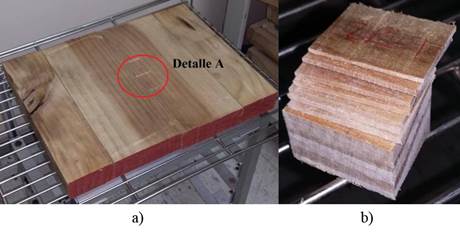 Panel compuesto: a) El “Detalle A” indica la posición de las muestras destinadas a la medición espacial de humedad, b) Muestra seccionada entre el centro y la superficie de la madera.