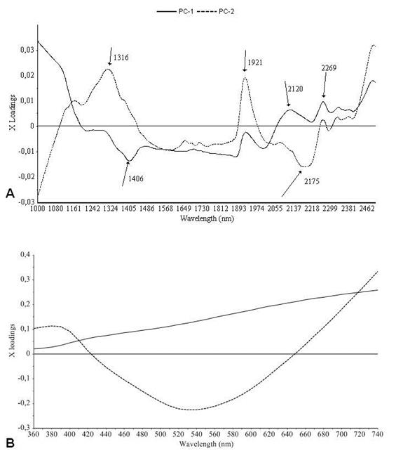 X-loadings of NIR spectra (a) pretreated with MSC and (b)visible spectra 