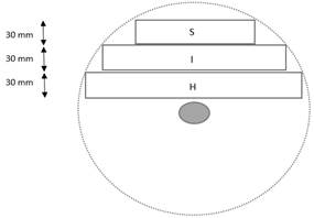 Position of the boards in the eucalypt log.