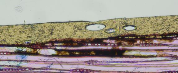 Air bubbles in the coating.