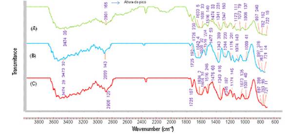 FTIR spectra of teak sapwood. A: unmodified wood. B and C: thermally-modified woods at 180 and 200&ordm;C, respectively.