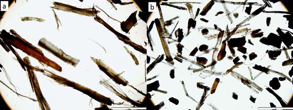 Optical micrographs of screened (a) <2 mm and (b) <0,5 mm bamboo particles (40x, scale bar 1 mm).