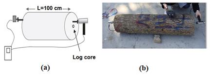 (a) Schematic and (b) real photo of log measurement using stress wave NDT.