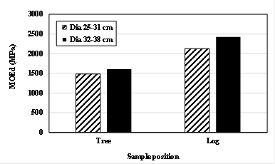 Effect of tree and log diameter on dynamic modulus of elasticity.