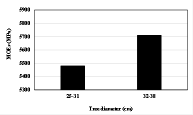 Effect of tree diameter on static modulus of elasticity.