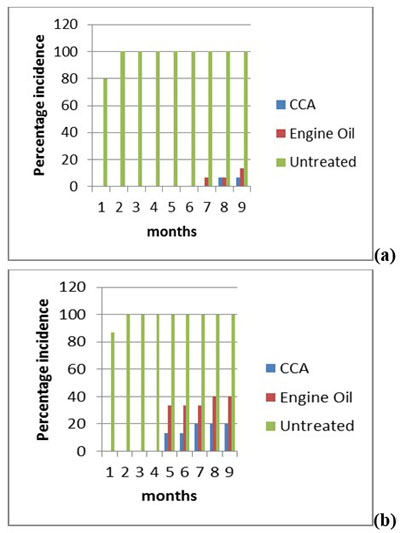 Percentage Incidence of termite attack on (a) GC550 and (b) P. reclinata for each month.