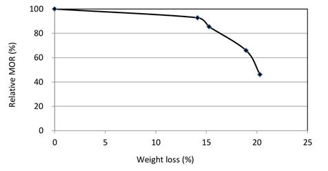 Variation of relative MOR of treated to untreated A. auriculiformis with weight loss.