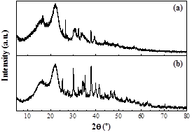 X-ray powder diffraction patterns for the cellulose fibers from (a) E. arborea and (b) C. ladanifer after alkaline treatment.