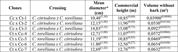 Characteristics of the seven hybrid clones of Corymbia.