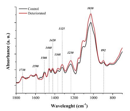 FTIR spectra of the woods of the control group and deteriorated by termites of Nasutitermes genus.