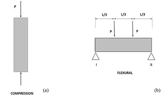 (a) Schemes of tests in trunks (P axial force applied until breakage). (b) Schemes of the test in branches (the forces P were applied in central third of the specimen until breakage, ´i´, and ´ii´ were the supporting points in the extremes of wood samples).