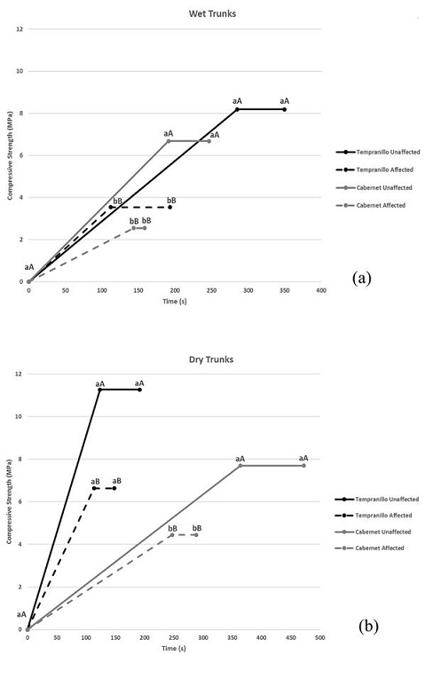 Diagram of compression test in grapevine trunks (a), wet wood; (b), dry wood), depicting the stress-time curve. All samples were loaded at the same rate, and load (represented as MPa, y-axis) as well as breakage in time (x-axis) were measured. ´Dashed line´ represents wood samples infected by X. arvicola larvae, with higher stress and time at breakage; ´Continuous line´ represents unaffected wood samples, with higher stress and time at breakage. Different lowercase letters indicate significant differences between grapevine trunks of each variety (affected and unaffected) in the same breakage in time. Different capital letters indicate significant differences between grapevine trunks of each variety (affected and unaffected) in the supported force.