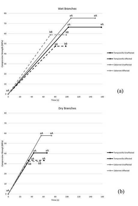 Diagram of flexural test in grapevine branches (a), wet wood; (b), dry wood), depicting the stress-time curve. All samples were loaded at the same rate, and load (represented as MPa, y-axis) as well as breakage in time (x-axis) were measured. ´Dashed line´, represents wood samples infected by X. arvicola larvae, with higher stress and time at breakage; ´Continuous line´ represents unaffected wood samples, with higher stress and time at breakage. Different lowercase letters indicate significant differences between grapevine branches of each variety (affected and unaffected) in the same breakage in time. Different capital letters indicate significant differences between grapevine branches of each variety (affected and unaffected) in the supported force.
