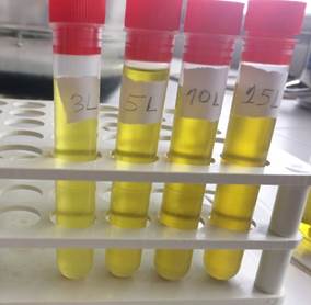 Treatment solutions prepared by lichen.