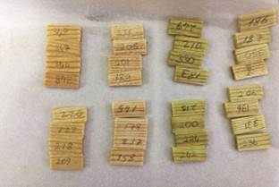 Treated samples.