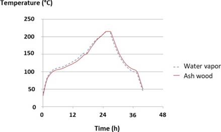 Temperature kinetics of ash wood and water vapor during heat treatment carried out at 215°C for 2 hours.
