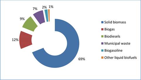 Energy consumption from biomass and bio-waste in Europe (AEBIOM 2019).