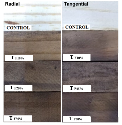 Photographs of both the radial and tangential planes for the pine samples.