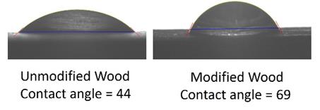 Contact angle of unmodified and acetylated W. tinctoria wood.