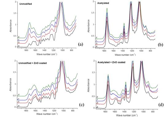FTIR spectra of unmodified and acetylated wood coated with nano ZnO (2 %) exposed to UV for different durations: (a) unexposed, (b) exposed for 50 h, (c) exposed for 100 h, and (d) exposed for 500 h. 