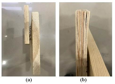 Showing the failure modes of one-row multi-staple joints; (a) Staple leg withdrawing; (b) Shearing among plywood layers.