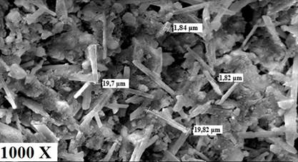 SEM micrograph of nano wollastonite.