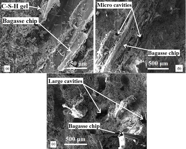 Scanning electron microscopy (SEM) of composite Gypsum- bagasse in the presence of (a) 10 % nano, (b) 5 % nano and (c) without- nano. 