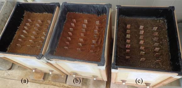 Soil bed test with the seven eucalypts wood and soils of the municipality evaluated: (a) Vargem alta; (b) São José do Calçado; (c) Jerônimo Monteiro, Espírito Santo State, Brazil.
