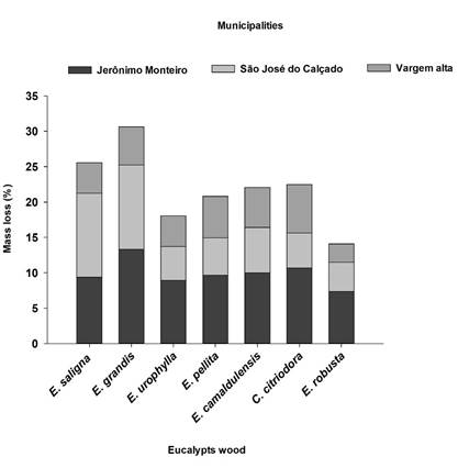 Mass loss of the species and positions evaluated in soil bed test, for soils from Jerônimo Monteiro, São José do Calçado and Vargem Alta, Espírito Santo municipalities, Brazil.
