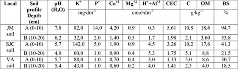 Physical and chemical characteristics of the soils in the municipalities of Jerônimo Monteiro, São José do Calçado and Vargem Alta, Espírito Santo, Brazil.