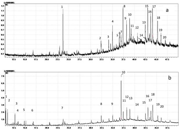 Chromatogram of organic compounds obtain from Acacia spp. bark in (a) n-hexane extract (b) petroleum ether extract. (a) n-hexane extract: Dibutyl phthalate(23,68min)1, 1,2-Benzenedicarboxylic acid, diisooctyl ester(32,36min)2, Tetracosane, 11-decyl-(34,11min)3, 22-Tricosenoic acid(34,98min)4, Nonacosane(36,5min)5, Pentadecanal-(36,58min)6, Hexacosanoic acid, methyl ester(36,93min)7, Erucic acid(37,37min)8, Octadecanal (38,18min)9,13-Tetradecen-1-ol acetate (38,88min)10, Octacosanoic acid, methyl ester(39,22min)11, Octadecanal(40,69min)12, Chondrillasterol(42,46min)13, 1-Methyl-3,6-diazahomoadamantan-9-one thiosemicarbazone (42,61min)14, 7,22-Ergostadienone(43,01 min)15, Lup-20(29)-en-3-one(43,68min)16, Lupeol(44,11min)17, Germanicol(45,27min)18, Lupeol(46,06min)19, 7-Hydroxy-6-methyl-oct-3-enoic acid(46,07min)20(b) petroleumether extract : Naphthalene, 1-methyl-(10,59min)1, Naphthalene, 1-methyl-(10,98min)2, Tetradecane(12,69min)3, Naphthalene, 2,6-dimethyl-(13,4min)4, Dodecane, 2-methyl-6-propyl-(14,82min)5, Octadecane(16,86min)6, Dibutyl phthalate(23,68min)7, 1,2-Benzenedicarboxylic acid, mono(2-ethylhexyl) ester(32,36min)8, Erucic acid(34,98min)9, Oxirane, 2,2'-((1-methylethylidene)bis(4,1-phenyleneoxymethylene))bis-(36,9min)10, 22-Tricosenoic acid(37,37min)11, Octadecanal(38,18min)12, 17-Pentatriacontene(38,88min)13, Octadecane, 1-(ethenyloxy)-(40,69min)14, Chondrillasterol(42,45min)15, 7,22-Ergostadienone(43,02min)16, Lup-20(29)-en-3-one(43,7min)17, Lupeol(44,11min)18, Germanicol(45,26min)19, 7-Hydroxy-6-methyl-oct-3-enoic acid(46,04min)20