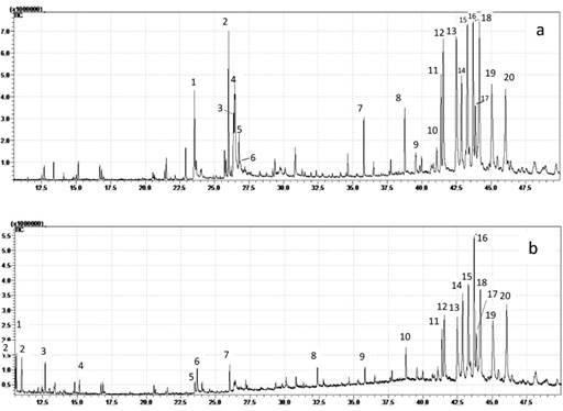 Chromatogram of organic compounds obtain from kumis kucing leaves in (a) n-hexane extract (b) petroleum ether extract. (a) n-hexane extract : n-Hexadecanoic acid (23,561 min)1; 3,7,11,15-Tetramethyl-2-hexadecen-1-ol (26,022 min)2; 9,12-Octadecadienoic acid, methyl ester (26,389 min)3; Oleic Acid (26,468 min) 4; 11,14,17-Eicosatrienoic acid, methyl ester (26,5 min) 5; Octadecanoic acid (26,775 min) 6; (all-E)-2,6,10,15,19,23-hexamethyl-2,6,10,14,18,22-tetracosahexaene (35,803 min) 7; Tetratetracontane (38,762 min) 8; Vitamin E acetate (39,564 min) 9; Ergost-5-en-3-ol, (3.beta.)- (41,071 min) 10; Tetratetracontane (41,38 min) 11; Stigmasta-5,22-dien-3-ol, acetate, (3.beta.)- (41,547 min) 12; .gamma.-Sitosterol (42,495 min) 13; urs-12-en-3-one (42,861 min) 14; urs-12-en-3-one (43,292 min) 15; urs-12-en-3-one (43,701 min) 16; 4,22-Cholestadien-3-one (43,872 min) 17; urs-12-en-3-one (44,161 min)18; Stigmast-4-en-3-one (45,056 min)19; Urs-12-en-3-ol, acetate, (3.beta.)- (46,041 min) 20(b) petroleumether extract : Naphthalene, 1-methyl- (10,5 min)1; Naphthalene, 1-methyl- (10,9 min)2; Tetradecane (12,6 min)3; Phenol, 2,4-bis(1,1-dimethylethyl)- (15,1 min)4; n-Hexadecanoic acid (23,5 min)5; Dibutyl phthalate (23,6 min)6; 3,7,11,15-Tetramethyl-2-hexadecen-1-ol (26,0 min)7; 1,2-Benzenedicarboxylic acid, mono(2-ethylhexyl) ester (32,3 min)8; (all-E)-2,6,10,15,19,23-hexamethyl-2,6,10,14,18,22-tetracosahexaene (35,8 min)9; Hentriacontane (38,7 min)10; Tetratetracontane (41,3 min)11; Stigmasta-5,22-dien-3-ol, acetate, (3.beta.)- (41,5 min)12; .gamma.-Sitosterol (42,4 min)13; urs-12-en-3-one (42,8 min)15; urs-12-en-3-one (43,2 min)16; urs-12-en-3-one (43,6 min)16; 4,22-Stigmastadiene-3-one (43,8 min)17; urs-12-en-3-one (44,1 min)18; Stigmast-4-en-3-one (45,0)19; Urs-12-en-3-ol, acetate, (3.beta.)- (46,0 min)20