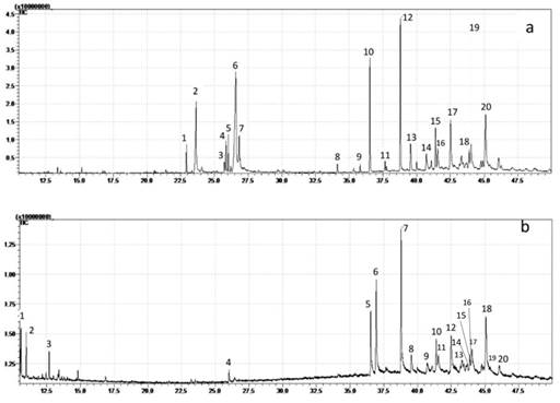 Chromatogram of organic compounds obtain from mimba leaves in (a) n-hexane extract (b) petroleum ether extract. (a) n-hexane extract : 3,9-Dioxa-6-thiaundecane, 2,10-dimethyl- (22,9 min)1; 3-Ethylthio-1,2-propanediol (23,6 min)2; Triallylphosphine (25,7 min)3; 4-Octadecenal (25,8 min)4; 1-Dimethyl(ethenyl)silyloxy-2-propene (26,0 min)5; Cyclohexanol, 1R-4cis-acetamido-5,6cis-epoxy-2trans,3cis-dimethoxy- (26,5 min)6; 1,3,4-Trimethoxy-butan-2-ol (26,8 min)7; Ethanol, 2,2-diethoxy- (34,1 min)8; Silane, trimethyl((1-methylethylidene)cyclopropyl)- (35,8 min)9; Ethanol, 2,2-diethoxy- (36,5 min)10; Ethanol, 2,2-diethoxy- (37,6)11; Ethanol, 2,2-diethoxy- (38,7 min)12; 3-Amino-3-(4-amino-6-(dimethylamino)-1,3,5-triazin-2-yl)-1-propanol # (39,5 min)13; Allyloxy-dimethyl-silane (40,7 min)14; Ethanol, 2,2-diethoxy- (41,3 min)15; 6-Ethoxy-6-methyl-2-cyclohexenone (41,5 min)16; Allyloxy-dimethyl-silane (42,5 min)17; 6-Ethoxy-6-methyl-2-cyclohexenone (43,8 min)18; 1-Methyl-1-(prop-2-enyl)-1-silacyclopentane (44,0 min)19; Cobalt, (.eta.5-2,4-cyclopentadien-1-yl)((3,4-.eta.)-4,5-diethyl-1,2,2,3-tetramethyl-1-aza-2-sila-5-boracyclopent-3-ene-B5,N1)- (45,1 min)20. (b) petroleumether extract : 1H-Indole, 1,2-dimethyl-(10,593 min)1; 1H-Indole, 2,6-dimethyl-(10,982 min)2; Ethanol, 2,2-diethoxy- (12,687 min)3; 1-Dimethyl(ethenyl)silyloxy-2-propene (26,021min)4; Ethanol, 2,2-diethoxy- (36,528 min)5; 1-Cyclohexyldimethylsilyloxyoctadecane (36,943min)6; Ethanol, 2,2-diethoxy- (38,781min)7; L-Arabinopyranoside, 1-(benzothiazol-2-ylthio)-3,4-O-isopropylidene- (39,541 min)8; Methyl 2,5,6-tri-O-acetyl-3-acetamido-3-deoxy-D-altrofuranoside (40,71 min)9; Ethanol, 2,2-diethoxy- (41,387min)10; 2-(1-Hydroxy-9a,11a-dimethylhexadecahydrocyclopenta(a)phenanthren-1-yl)-2-methylpropionic acid, ethyl ester (41,548 min)11; 2-(((2-Methoxyethoxy)methyl)thio)-1H-imidazole (41,585min)12; Isotridecyl alcohol, trimethylsilyl derivative(42,496 min)13; 1-Aza-2-sila-5-boracyclopent-3-ene, 4,5-diethyl-1,2,2-trimethyl-3-(1-methylethenyl)-( 43,28 min)14; Exo-norbornanol, methyl(pentamethylene)silyl ether(43,696 min)15; 1-Dimethyl(ethenyl)silyloxy-2-propene(43,878 min)16; 3-O-Methyl-d-glucose (44,03 min)17; 1-Dimethyl(ethenyl)silyloxy-2-propene(45,065 min)18; Methyl 2,3-diacetamido-2,3-dideoxy-.alpha.-D-glucopyranoside(45,374 min)19; 1-Aza-2-sila-5-boracyclopent-3-ene, 4,5-diethyl-1,2,2-trimethyl-3-(1-methylethenyl)- (46,07 min)20