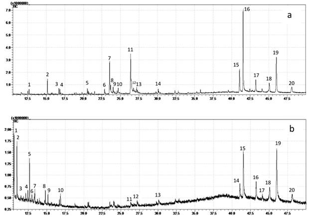 Chromatogram of organic compounds obtain from gadung tubers in (a) n-hexane extract (b) petroleum ether extract. (a) n-hexane extract : Tetradecane(12,6 min)1; Phenol, 2,4-bis(1,1-dimethylethyl)-(15,1 min)2; 3-Hexadecene, (Z)-(16,7 min)3; Eicosane(16,8 min)4; 1-Heptadecene(20,5 min)5; 2-Isopropyl-5-methyl-1-heptanol(22,8 min)6; n-Hexadecanoic acid(23,5 min)7; Dibutyl phthalate(23,6 min)8; 1-Tricosene(24,0 min)9; Eicosanoic acid (24,7 min)10 ; 9,12-Octadecadienoic acid (Z,Z)-(26,3 min)11; 9,12,15-Octadecatrienoic acid, (Z,Z,Z)- (26,4 min)12; 1-Nonadecanol (27,191 min)13; 1-Tricosene (30,103 min)14; Campesterol(41,057 min)15; Stigmasta-5,22-dien-3-ol, acetate, (3.beta.)-(41,539 min)16; urs-12-en-3-one(43,241 min)17; Olean-12-ene (45,066 min)18; 5H-3,5a-Epoxynaphth(2,1-c)oxepin, dodecahydro-3,8,8,11a-tetramethyl- (46,02 min)19; Lup-20(29)-en-3-ol, acetate, (3.beta.)-(48,099 min)20. (b) petroleumether extract : Naphthalene, 1-methyl-(10,5 min)1; Naphthalene, 1-methyl-(10,9 min)2; Hexadecane, 2,6,10,14-tetramethyl-(12,17 min)3; Biphenyl (12,437 min)4; Tetradecane (12,68 min)5; Naphthalene, 1,7-dimethyl- (13,317 min)6; Naphthalene, 2,6-dimethyl- (13,394 min)7; Pentadecane (14,81 min)8; Phenol, 2,6-bis(1,1-dimethylethyl)- (15,161 min)9; Eicosane, 10-methyl- (16,854 min)10; 2-(4-Hydroxybutyl)cyclohexanol (26,333 min)11; Trifluoroacetic acid, n-heptadecyl ester (27,185 min)12; Pentadec-7-ene, 7-bromomethyl- (30,109 min)13; Ergost-7-en-3-ol, (3.beta.)- (41,049 min)14; Stigmasta-5,22-dien-3-ol, acetate, (3.beta.)- (41,524 min)15; urs-12-en-3-one (43,25 min)16; 1,2,4-Triazole, 4-(N-(2-hydroxyethyl)-N-nitro)amino- (44,095)17; Olean-12-ene (45,056 min)18; 5H-3,5a-Epoxynaphth(2,1-c)oxepin, dodecahydro-3,8,8,11a-tetramethyl- (46,02)19; Longifolenaldehyde (48,112 min)20