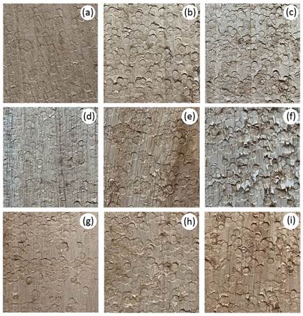 Moderate, severe and complete surface indentation of the densified wood; A. acuminata ((a), (b) and (c), respectively), V. ferruginea ((d), (e) and (f), respectively) and V. guatemalensis ((g), (h) and (i), respectively)